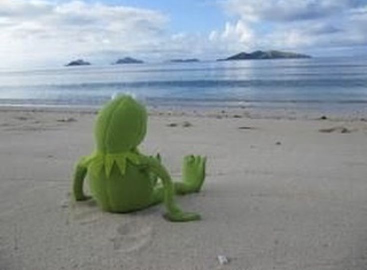 i want back the energy and self confidence i had as a teen