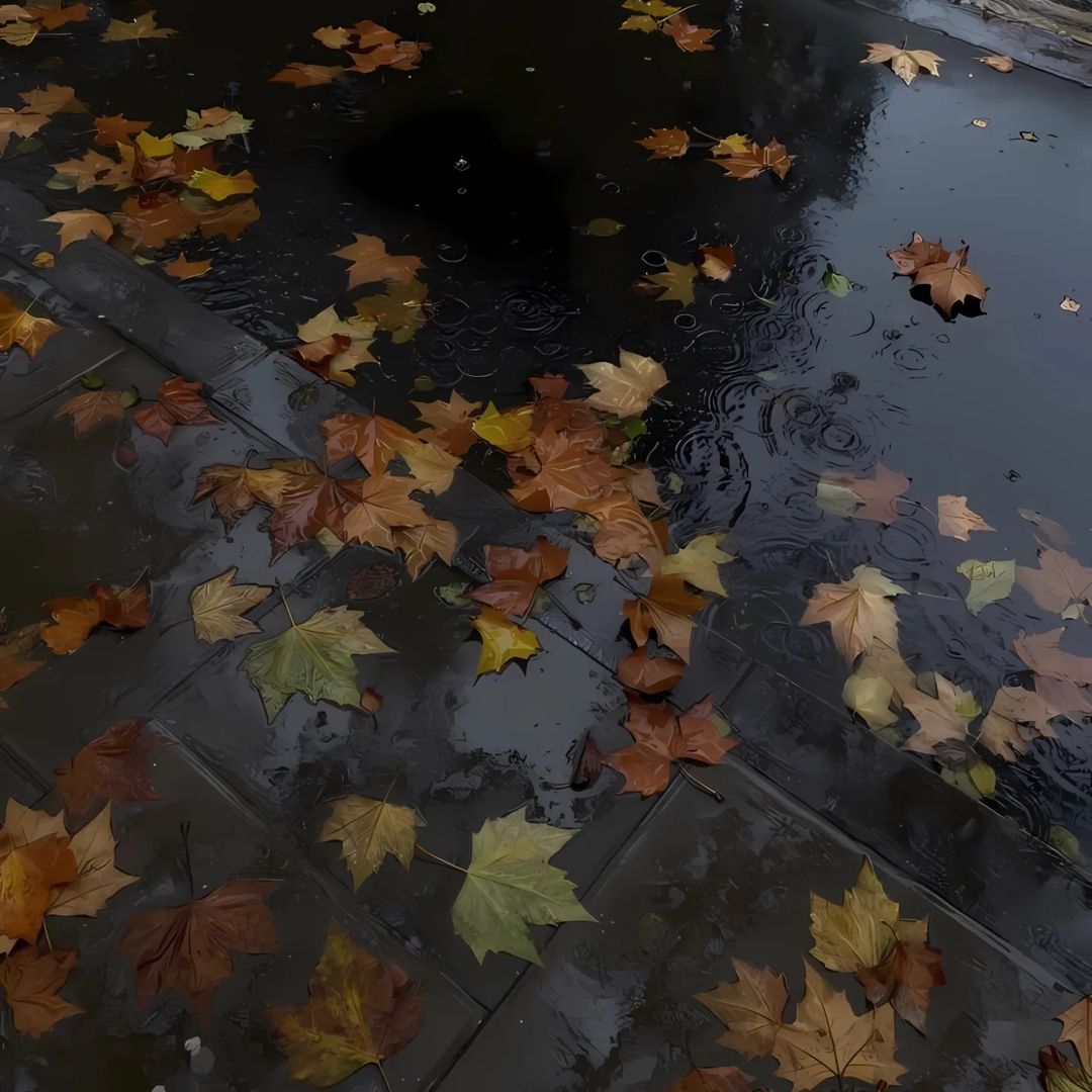 talya9646171863's tweet photo. October rain https://t.co/NusPO34CvH