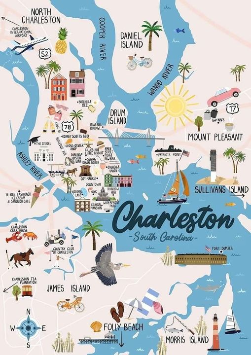 Bryan Johnson tweet media