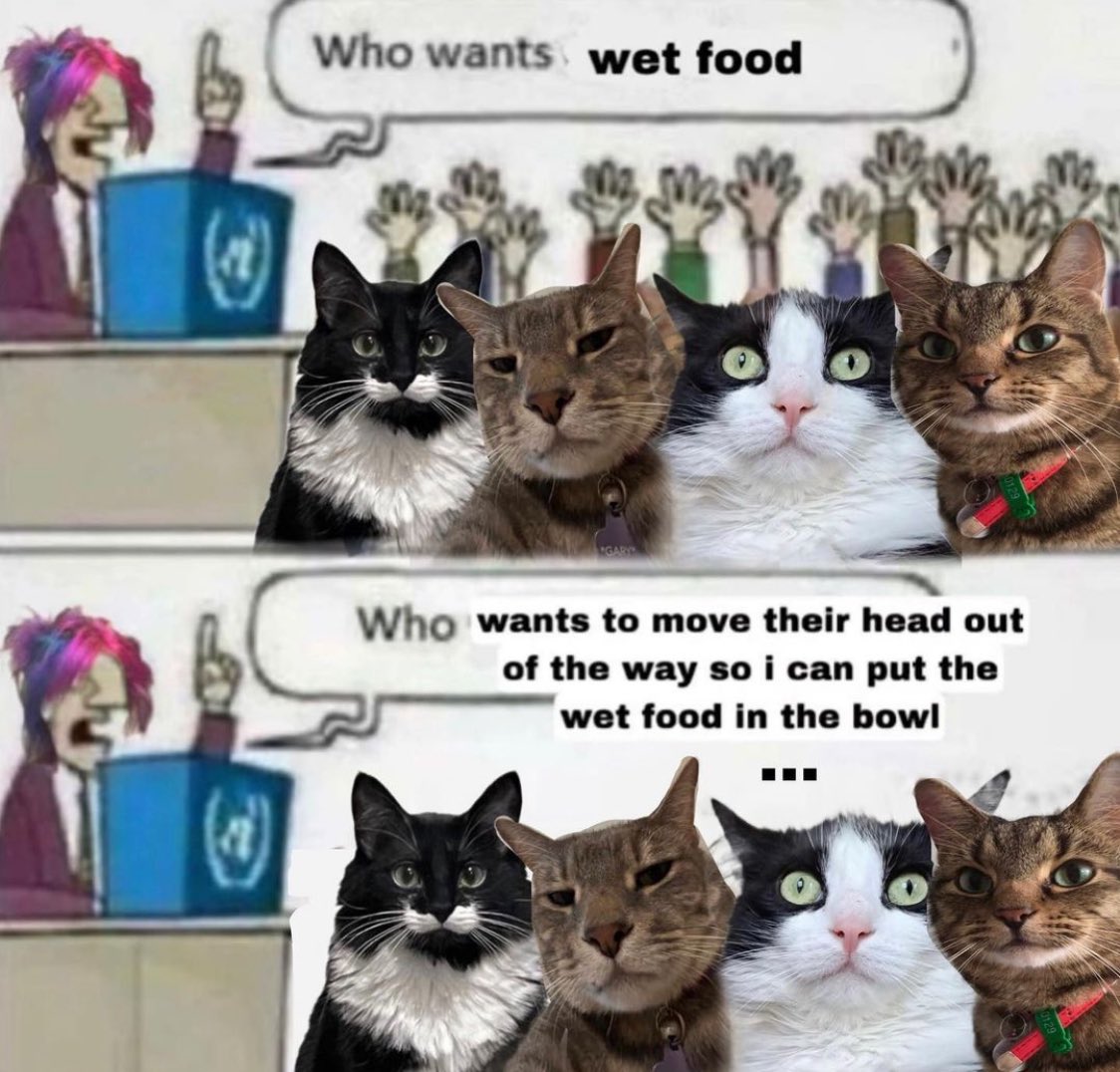 moristiko's tweet image. 