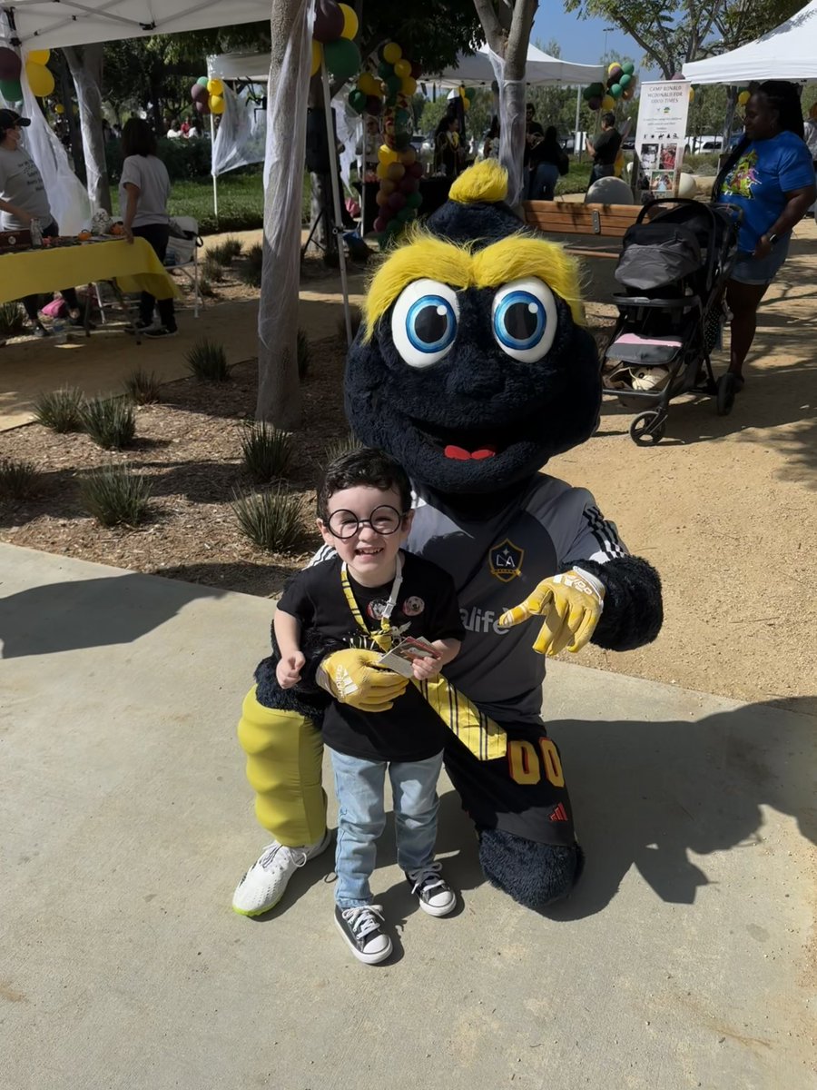 Little Bear tweet media