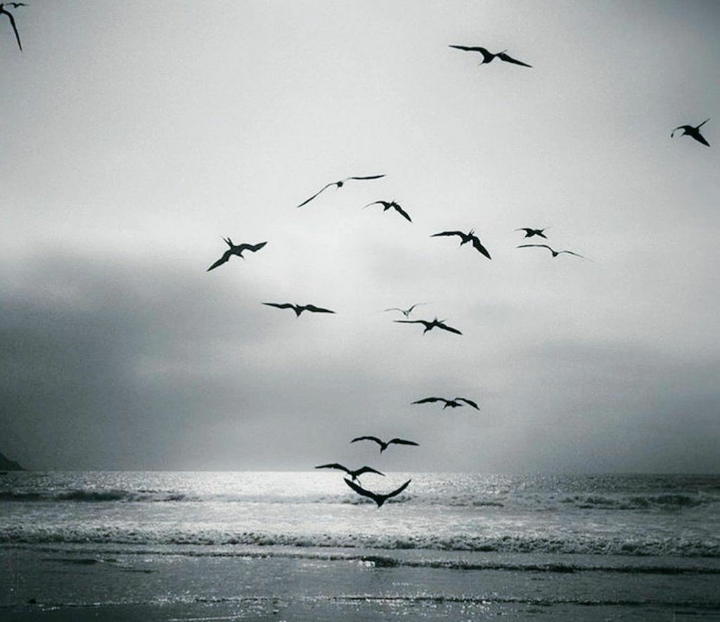 “geç kaldığını sandığın yerlerde, hiç 
  beklenmediğini anlamak;
  görkemli bir çürüme biçimidir…”
  .