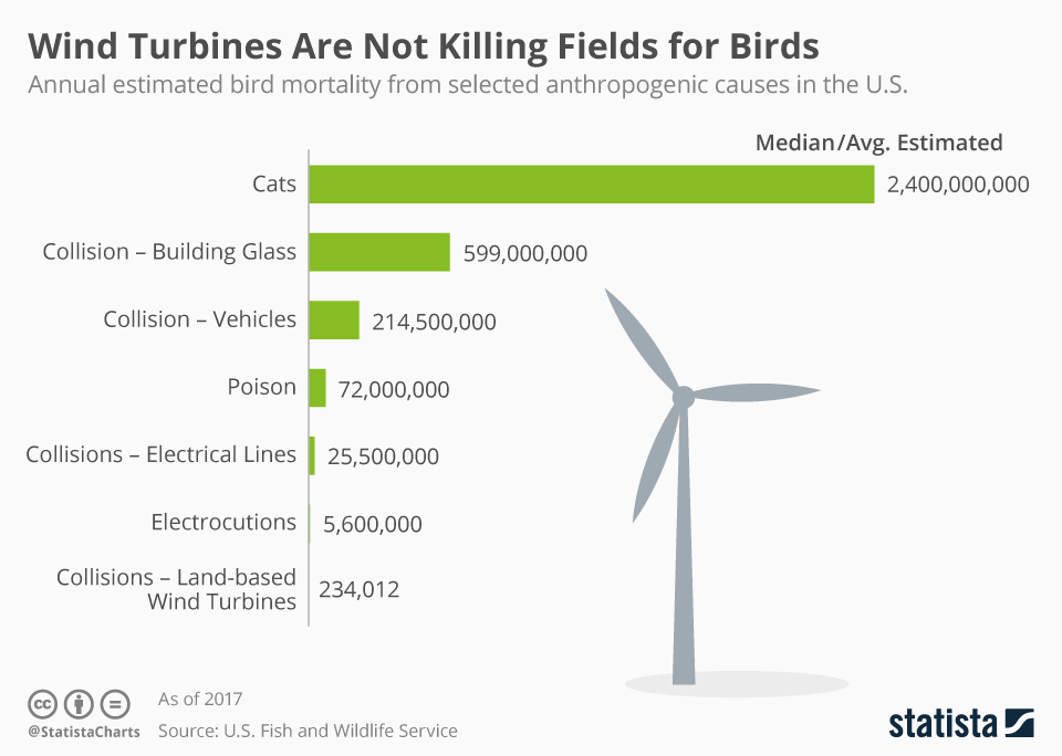 1. "cats kill 10,000 times as many birds as wind turbines!"

"yeah but cats kill small birds! wind turbines kill endangered birds like eagles!"

I've seen this same exchange hundreds of times and it always stops there.

Here's what's missing...