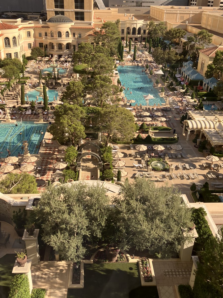 PerfectXscape's tweet image. What happens in Vegas… stays at the Bellagio 

,.