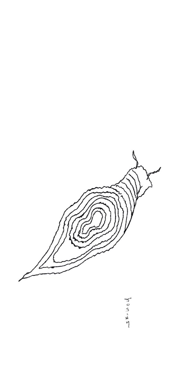 completeTheHaiga tweet media