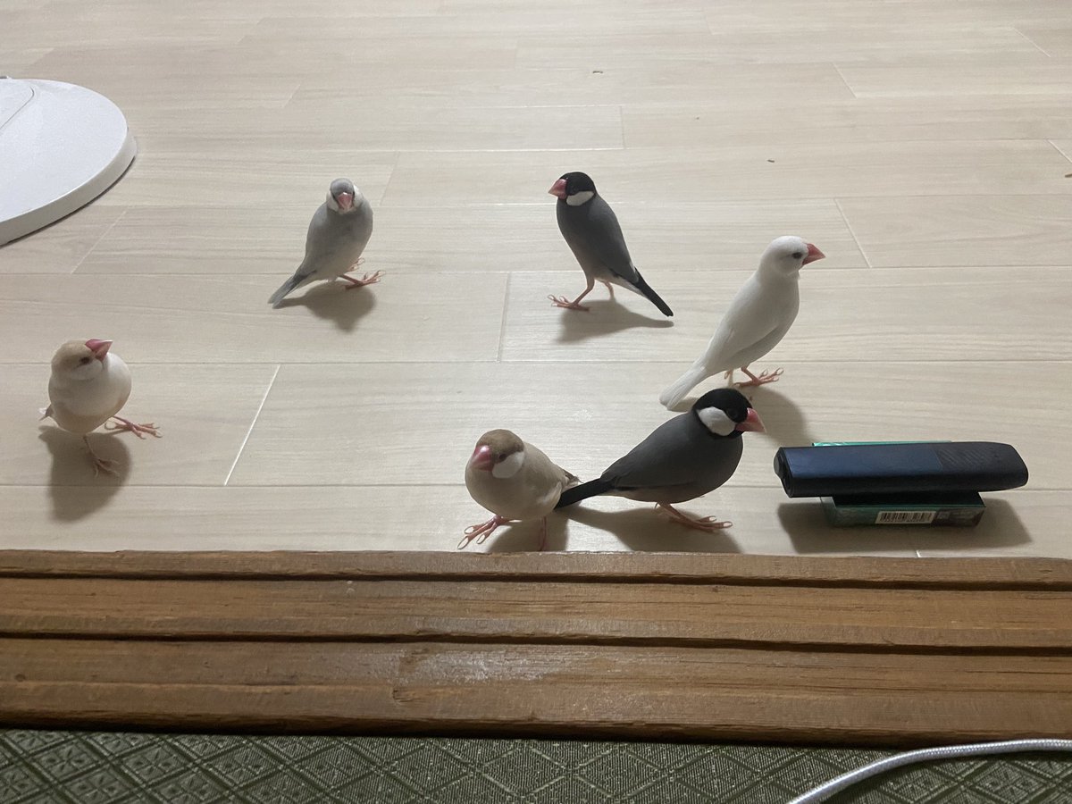 最近仕事がバタバタで
釣りにも行けず
寝て起きて仕事の繰り返しで
ストレス😫
みなさんの釣果をおかずに
ご飯食べてます🤩
お陰様でこの歳になっても
米2号は食べれるようなりました🙌(笑)
この場をお借りしお礼させて
もらいます🙇‍♂️(笑)
釣り行きたい😭
サビキで大喜びします😍(笑)
うちの家族です😁