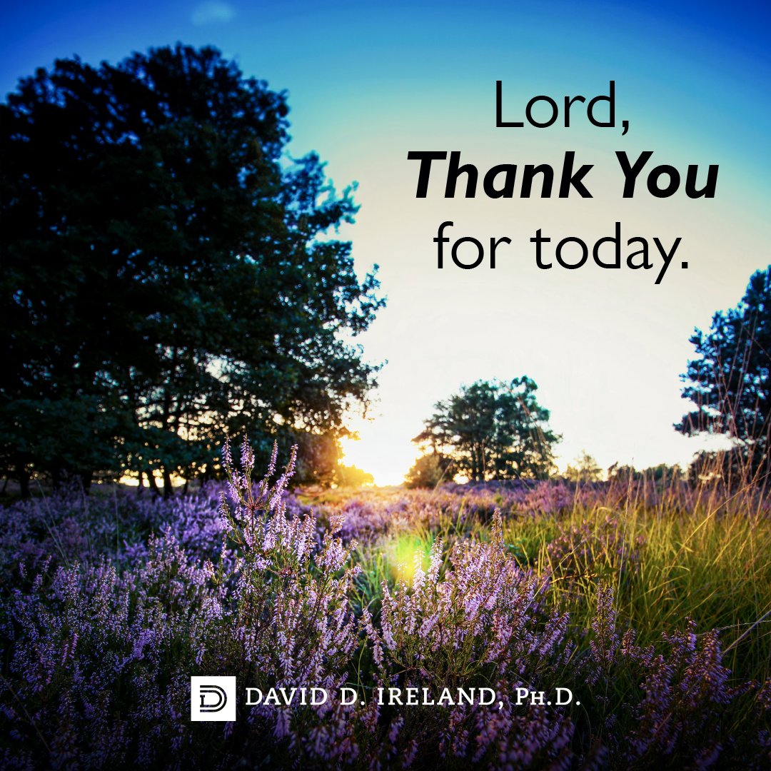 David Ireland tweet media