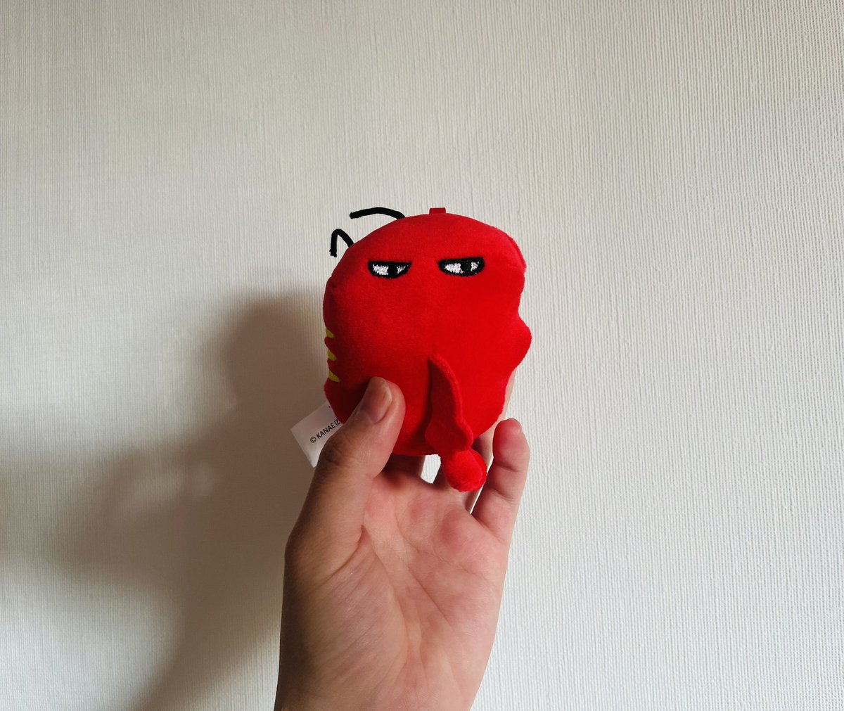 izmizum's tweet photo. 絵本のぬいぐるみ届いたんですがめちゃくちゃおもしろかわいいので見てもらって良いですか？？？？？ https://t.co/OuXMYghSgl