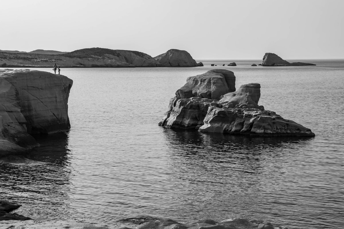 Adrian Golemis tweet media