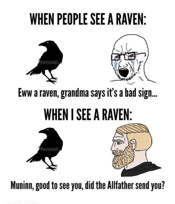 BloodOnBlack's tweet image. #HeathenPride #Muninn #Allfather