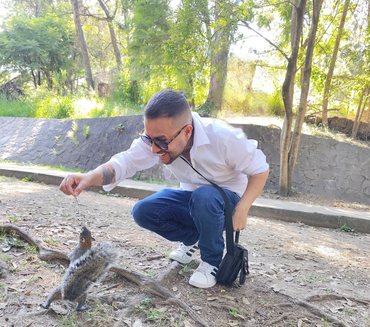 alvinhocosta's tweet photo. Ardilla 🤏
#BosqueColomos #Zapopan https://t.co/zSByemxfAw