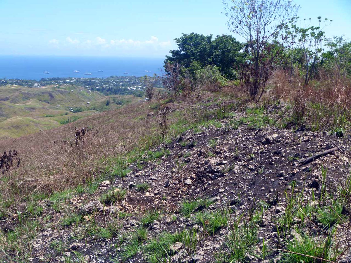 View across the marine foxholes below the crest of the Gifu, Guadalcanal
