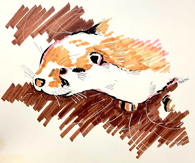 昨日描いたカワウソのスケッチ。#かわうそ #動物イラスト #スケッチ 