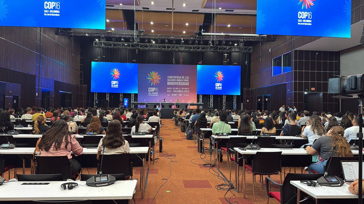 mayoloangelica's tweet photo. Más de 700 voluntarios se preparan para recibir a los delegados, expertos y visitantes que llegan a Cali para la COP16. 

Cumbres, sesiones informativas y formativas, son algunos de los espacios donde los jóvenes se capacitan en biodiversidad y políticas ambientales. https://t.co/5WUY9oJQRp