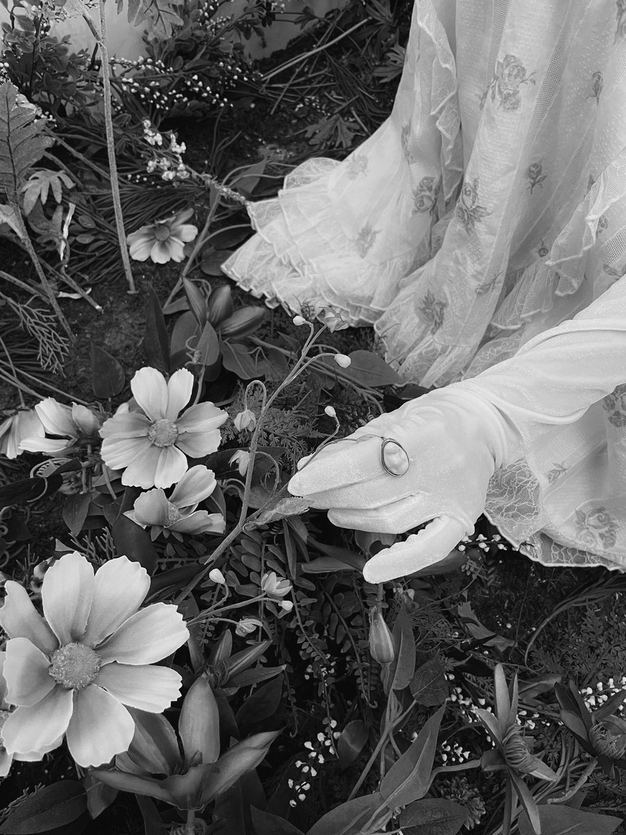 bionicastle's tweet image. ¿qué tal, mis corazoncitos biónicos? ♡ vengo en modo la𝚍𝐲 bri𝚍gerton, lista para tomar mi 𝕥é de la tarde 🫖 𓈒࿓ ¿les gustó nuestro regalo? fue muy divertido porque lo hicimos para [ sw𝕚th ], ¡gracias por el a𝑚or que nos dan!

𝐬𝕥ar-c𝕣o𝐬𝐬ed ✩ 𝐥ō𝚟er, #𝐦ęlly