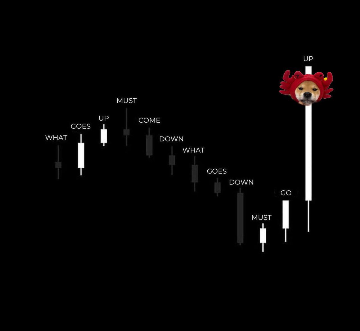 canwifhat tweet media