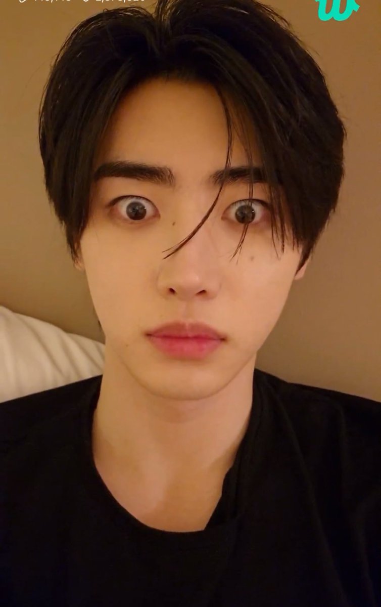 ɪᴄɪᴇʟ. 🐚 tweet media