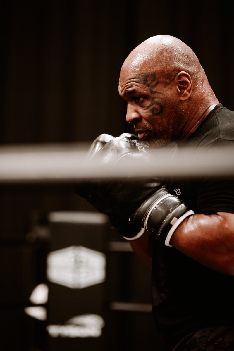 Mike Tyson tweet media