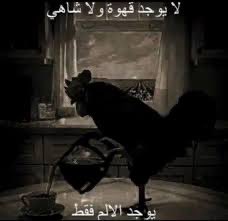 اكتوبر