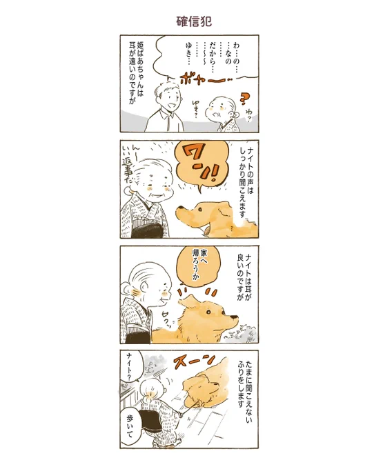 秋晴れ!おはワンです☀️

#姫ばあちゃんとナイト 