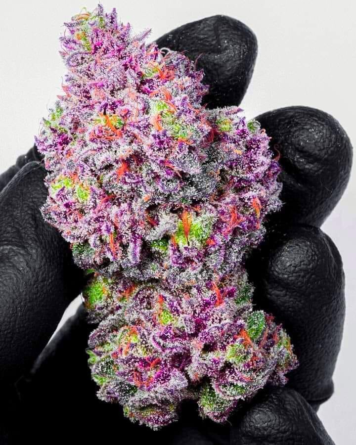 Give this strain a name… 🍇🔥