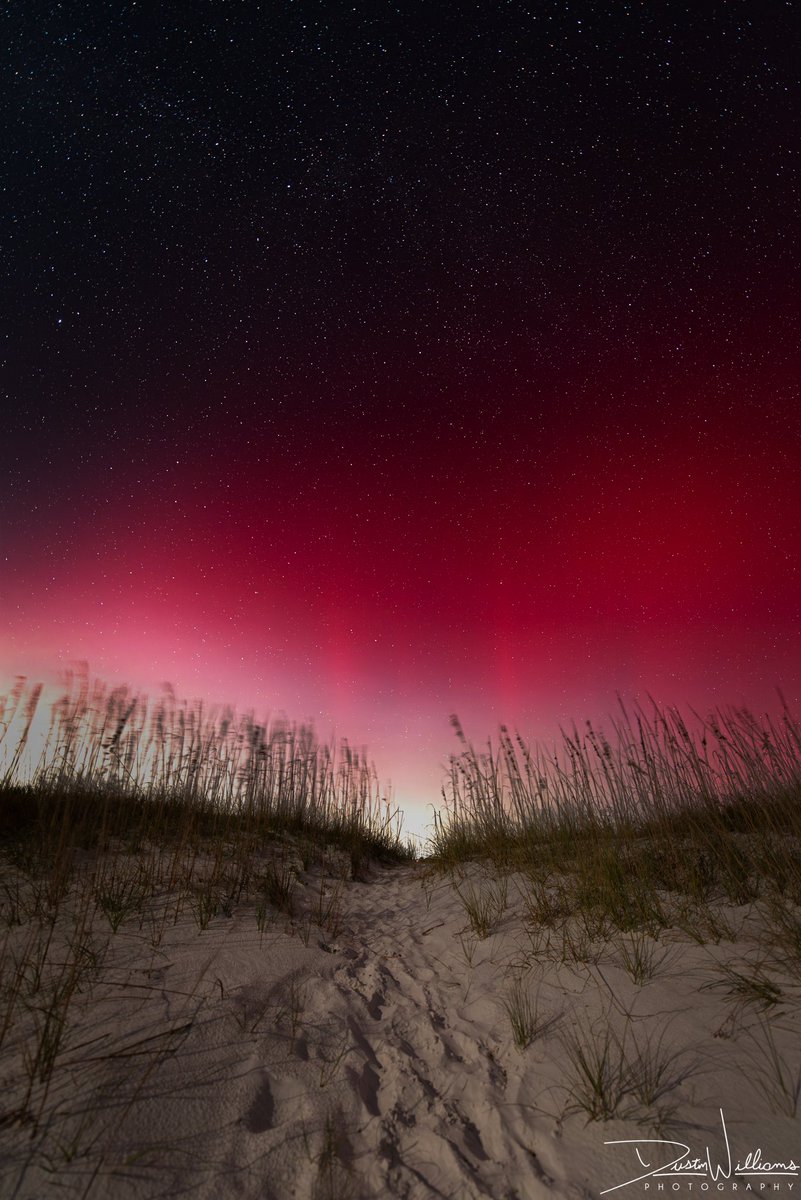 DWPhotographed's tweet image. A walkway to the Northern lights through the dunes at Pensacola Beach, FL!
(Taken 10/10 at 9:41pm)