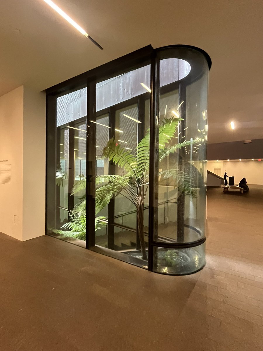 Peter Fallon tweet media