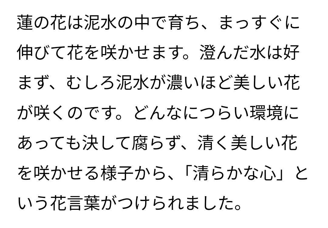 バケハ🖤⚽🦞🌌🐶 tweet media