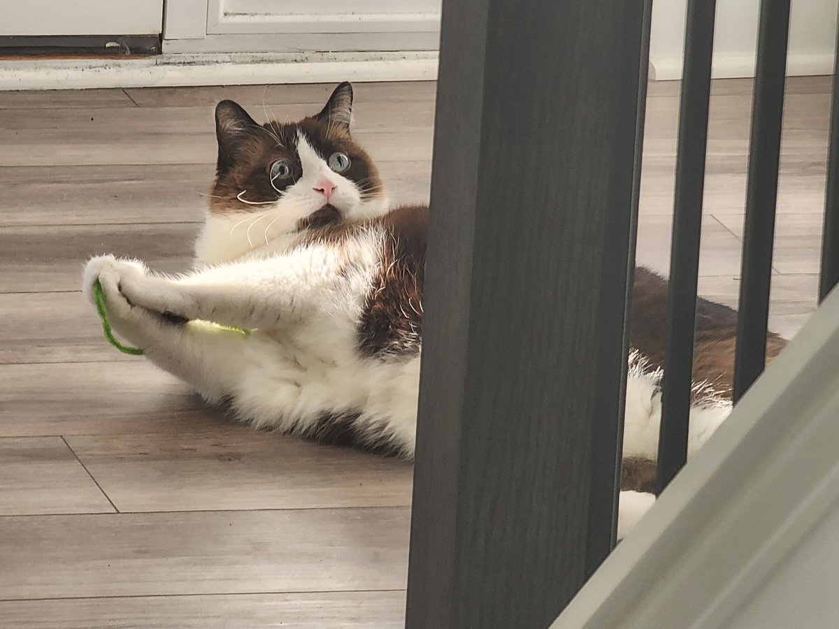 William Blake!?! tweet media