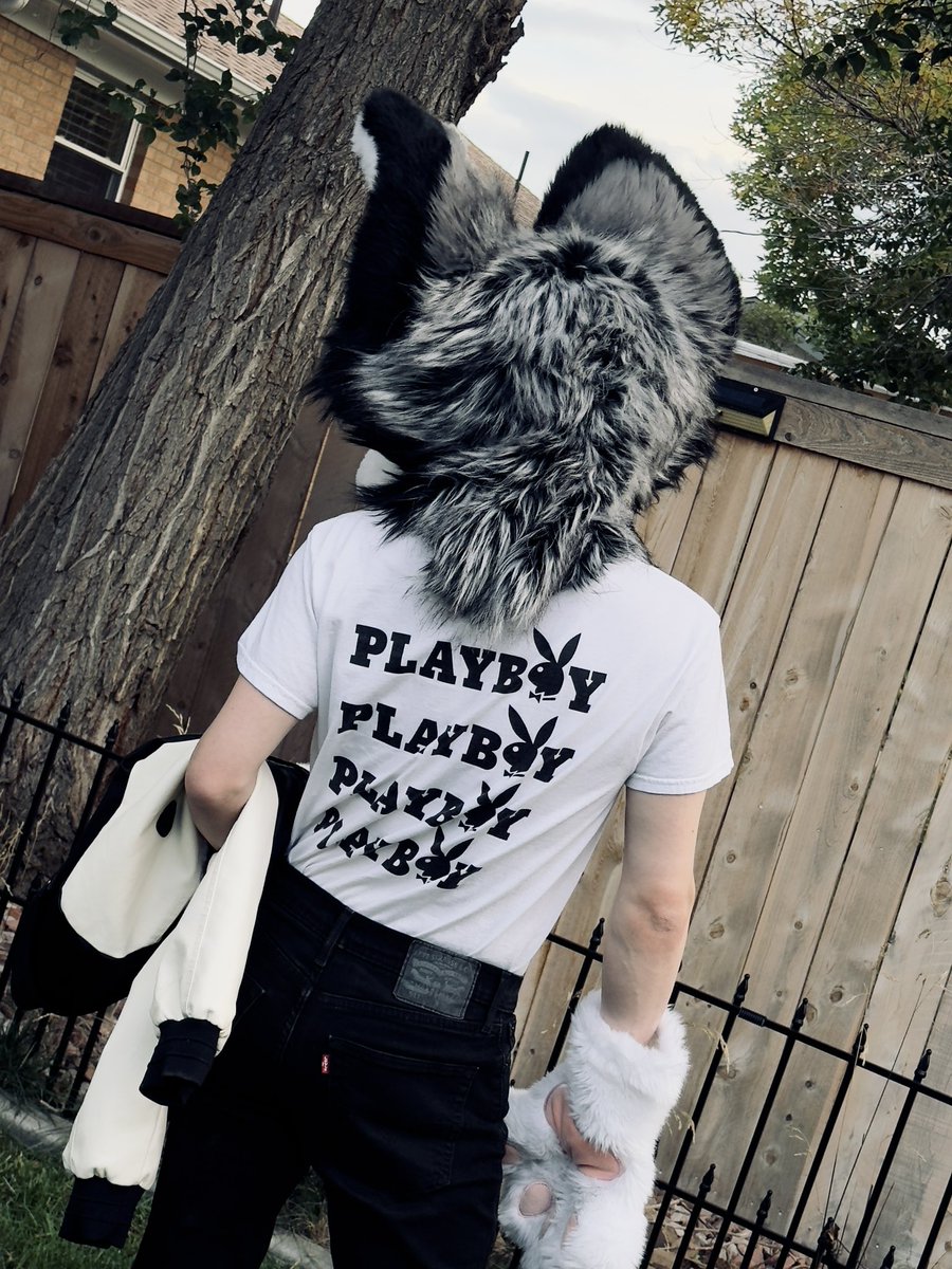 fallcatjake's tweet image. woof