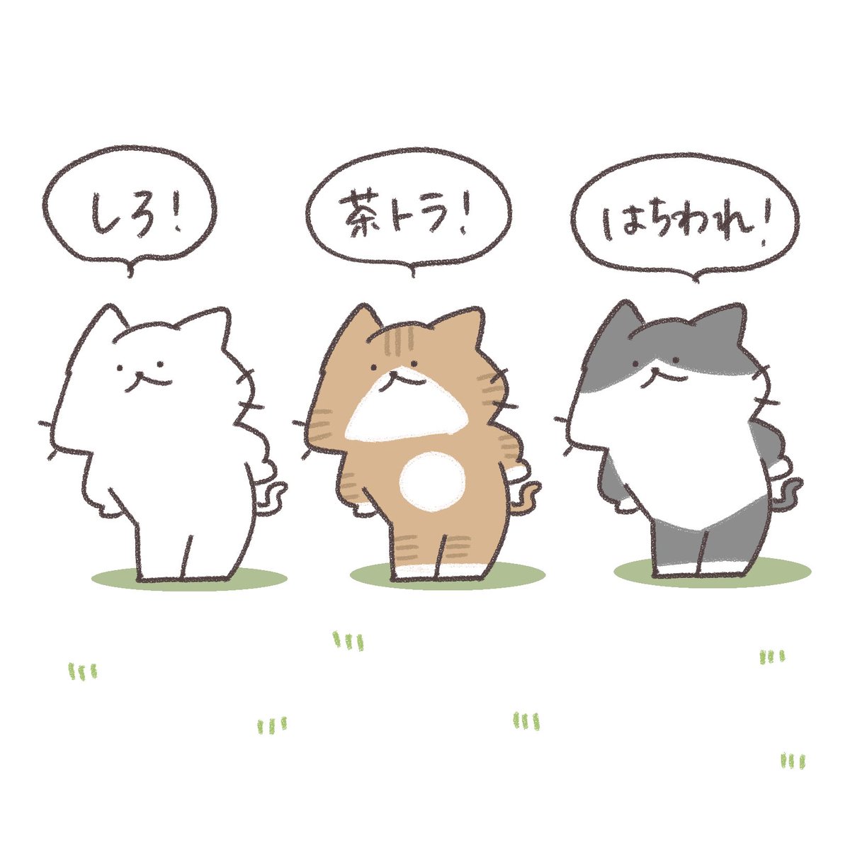 日曜日こんにちは!ฅ^•ω•^ฅ
ノリノリしろにゃんのポーズ気に入ってます🕺 