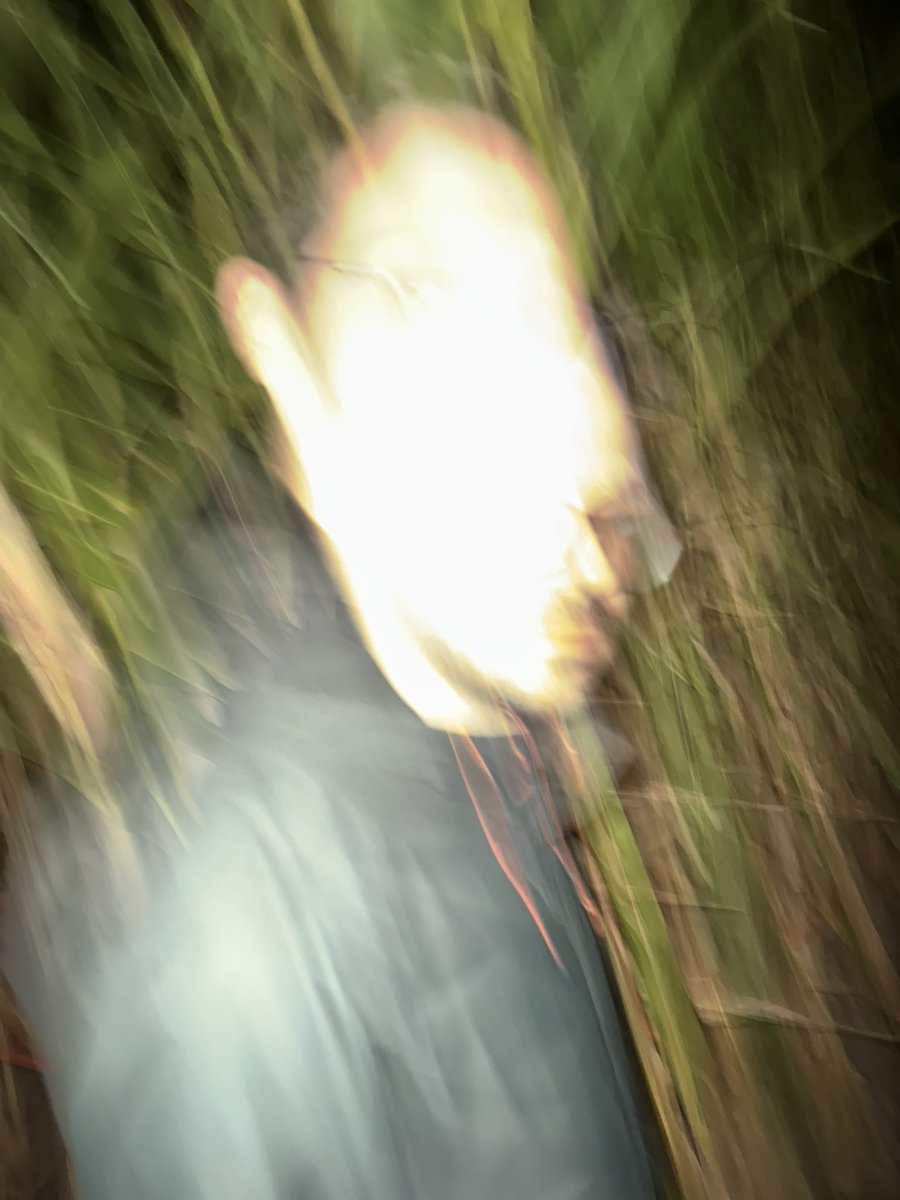 got lost in the corn maze 👩‍🦯‍➡️