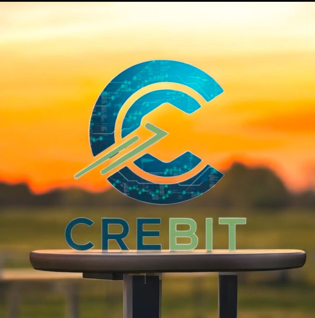 aicrebit's tweet photo. The beautiful view of Crebit 🤩🤩
.
#cbt #crebit #ai https://t.co/SsWDeTMsr8