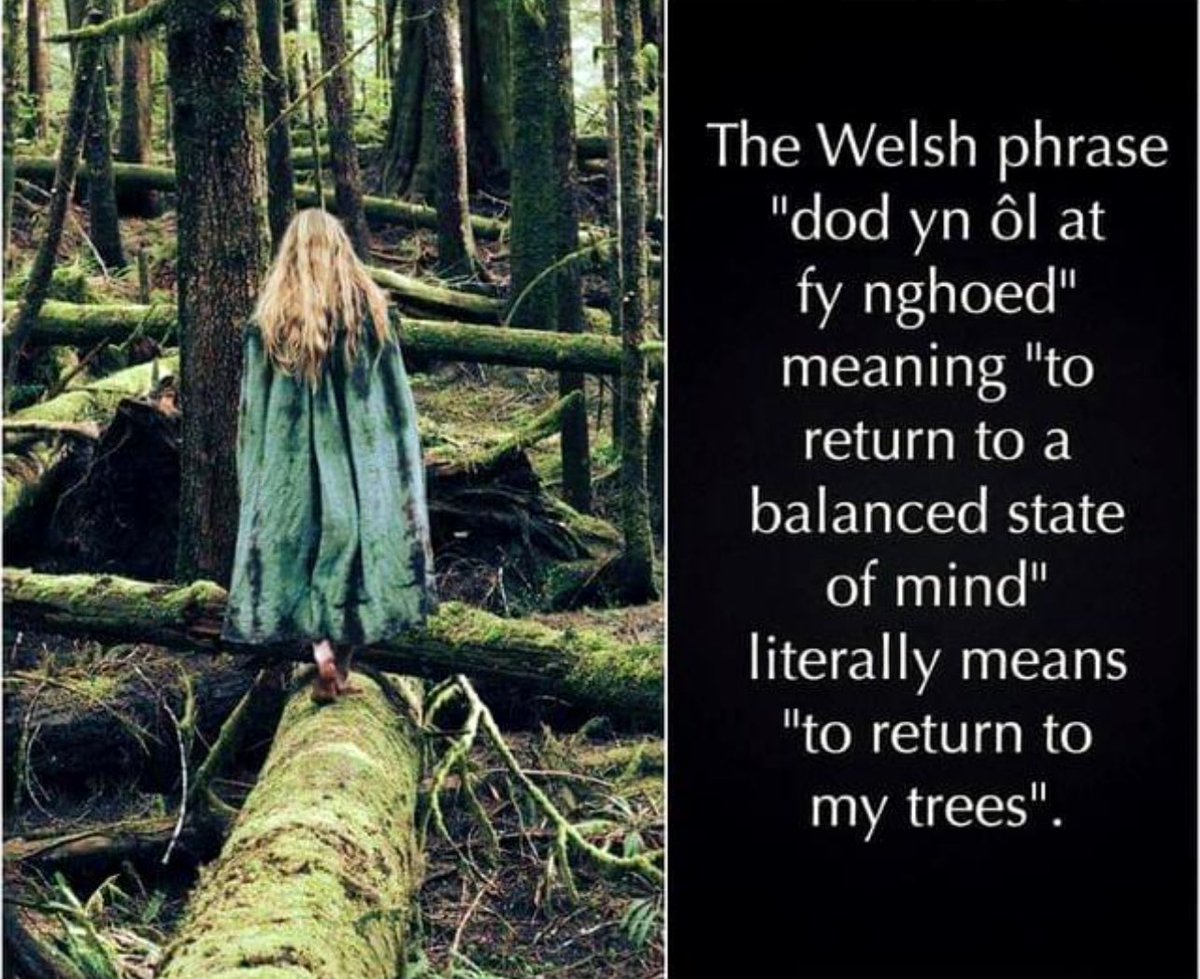 Craig Armiger (@craigarmiger) on Twitter photo It seems it was meant to be. This appeared on one of my socmed feeds. Appropriate as on the <a href="/IOLOutdoorProfs/">IOL Outdoor Learning</a> Fostering a connection course. It is what I do when I need to reset and soothe my mental health. <a href="/OutdoorEdChat/">#OutdoorEdChat</a> <a href="/dylancerddora/">Dr Dylan Adams</a> It seems it was meant to be. This appeared on one of my socmed feeds. Appropriate as on the <a href="/IOLOutdoorProfs/">IOL Outdoor Learning</a> Fostering a connection course. It is what I do when I need to reset and soothe my mental health. <a href="/OutdoorEdChat/">#OutdoorEdChat</a> <a href="/dylancerddora/">Dr Dylan Adams</a>