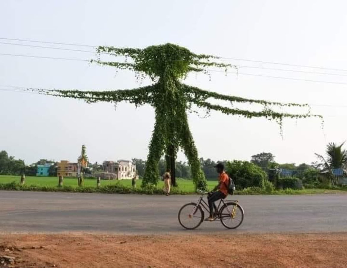 युवाओं का रावण लिखकर खूब वायरल किया जा रहा है, 1% युवा लायक, तो बाक़ी क्या…<a href="/satyarajput321/">satya rajput</a> <a href="/UNHumanRights/">UN Human Rights</a> <a href="/DreamK17145/">FREEDOM OF SPEECH</a> <a href="/CGDedBedSangh/">छत्तीसगढ़ प्रशिक्षित डीएड एवं बीएड संघ रायपुर</a> <a href="/CPDBS2/">छत्तीसगढ़ प्रशिक्षित डी एड बी एड संघ</a> <a href="/ArunSao3/">Arun Sao</a> <a href="/bhupeshbaghel/">Bhupesh Baghel</a> <a href="/RahulGandhi/">Rahul Gandhi</a> <a href="/priyankagandhi/">Priyanka Gandhi Vadra</a> <a href="/CGRHO11/">स्वास्थ्य संयोजक कर्मचारी संघ छत्तीसगढ़</a> <a href="/UMASHANKARNETA5/">ग्रामीण स्वास्थ्य संयोजक</a> <a href="/BJP4India/">BJP</a> <a href="/DaudKha20098885/">दाऊद खान (प्रदेश अध्यक्ष-डीएड बीएड संघ)</a> #FayeYouAreMine #INDvBAN