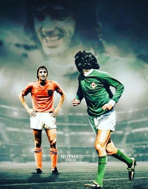 Cantona Collars AKA Larry tweet media