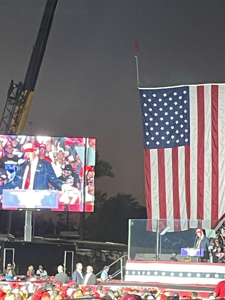 💯 Red White & Blue 🇺🇸 tweet media