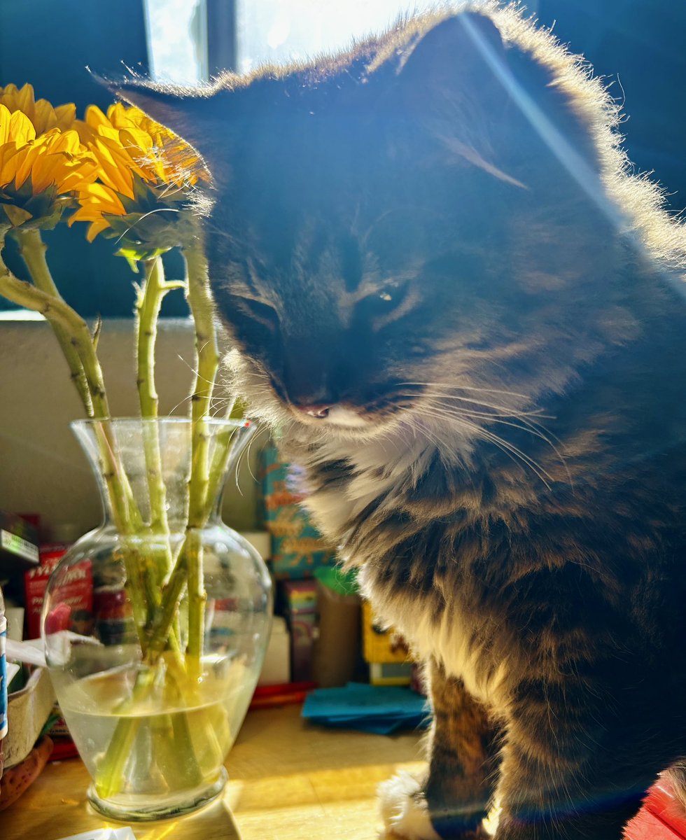 Peter Diseth tweet media