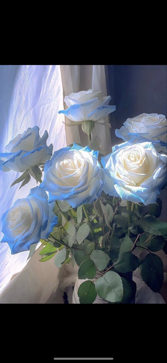 🇸🇦 S 🇸🇦 tweet media