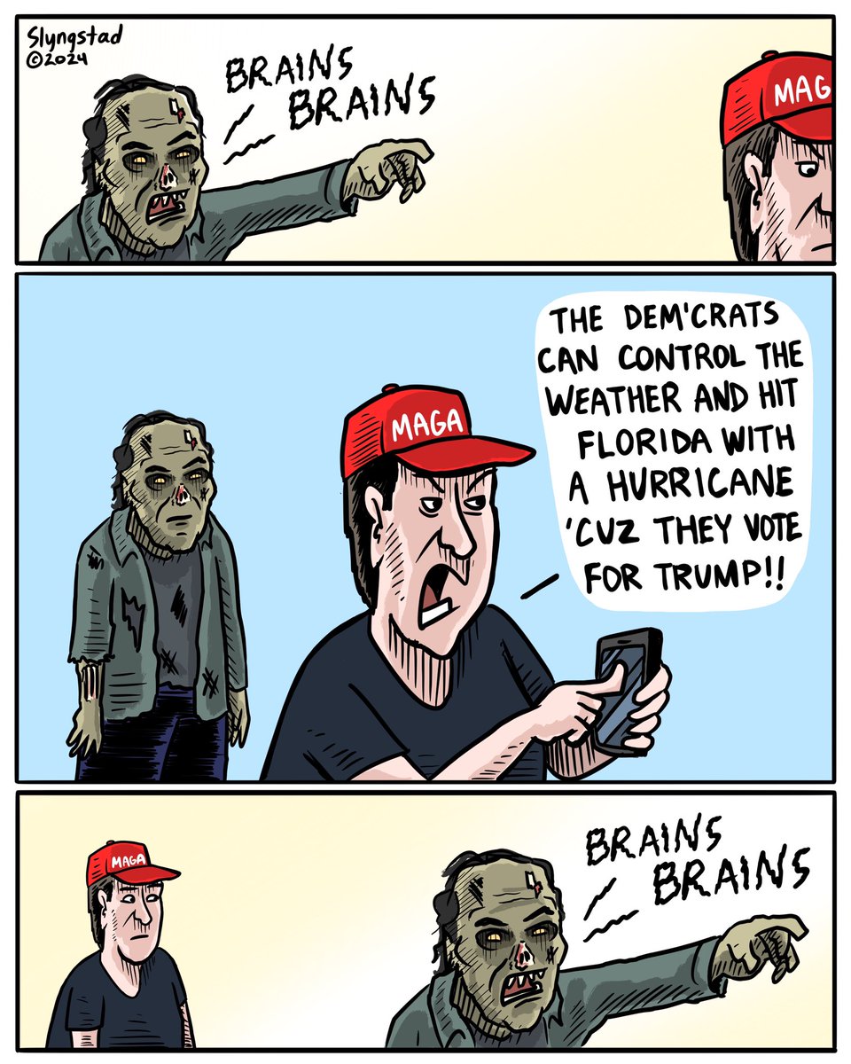 The search continues. No brains to be found. #WeatherModification #MAGAInsanity #MAGAIsWeird #VoteBlue #spookymonth #brains