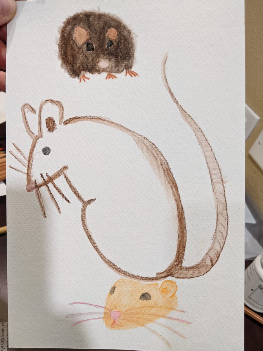 adam_kranz's tweet image. 