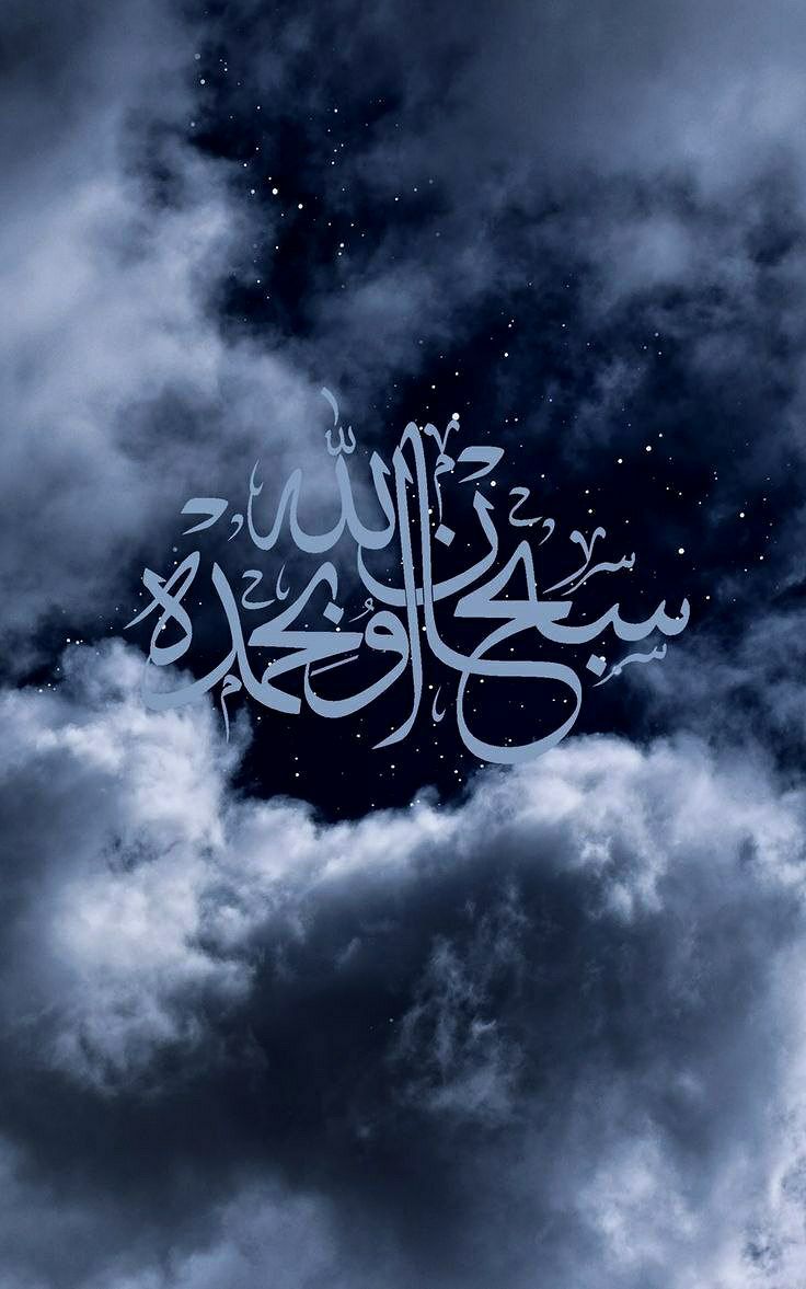 الهادئ tweet media