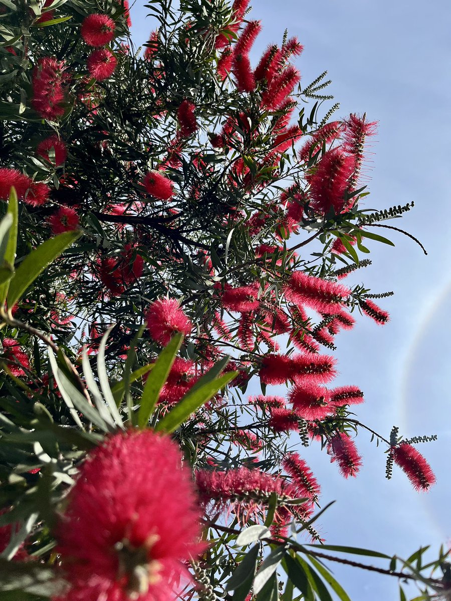 Chris Ames tweet media