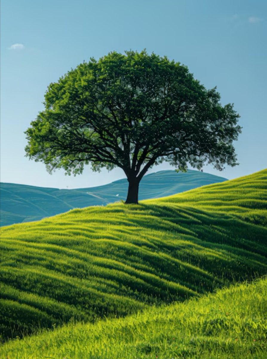 SidesLife's tweet photo. NatureSidesOfLife... 🏞
#nature #photography #naturephotography #travel #photooftheday #landscape #naturelovers #beautiful #picoftheday #photo #travelphotography #adventure #naturelover #hiking #life #beauty #explore #outdoors #travelgram #natur #naturaleza #followme https://t.co/SZpL9d2UT5