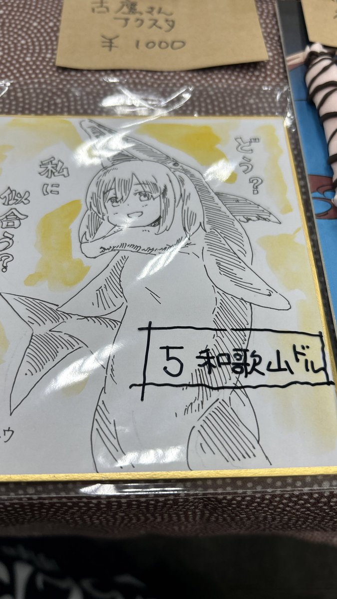 ワカヤマソウリュウは5和歌山ドルになります 
