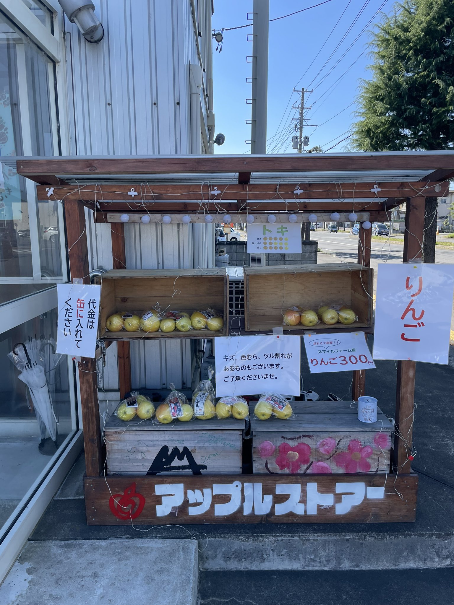アルプスおとめ　「アップルストアーはりんご屋です 」ポスター５枚セット アルプスおとめ 「アップルストアーはりんご屋です 」ポスター5
