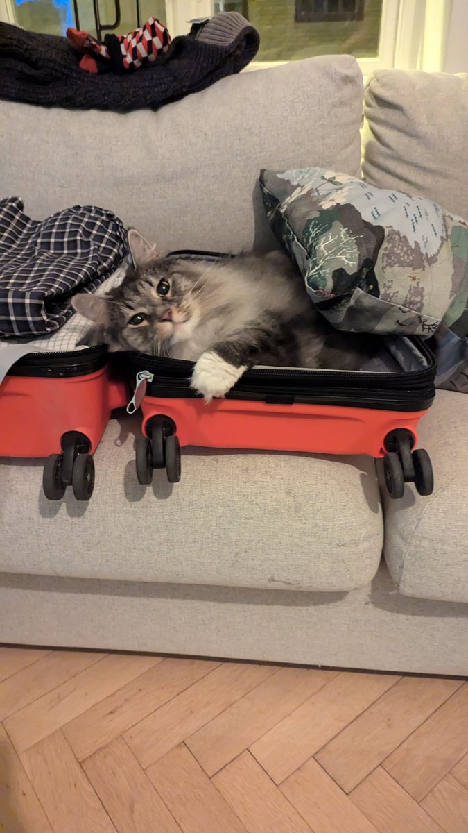 Michael Trotter Ph.D. tweet media