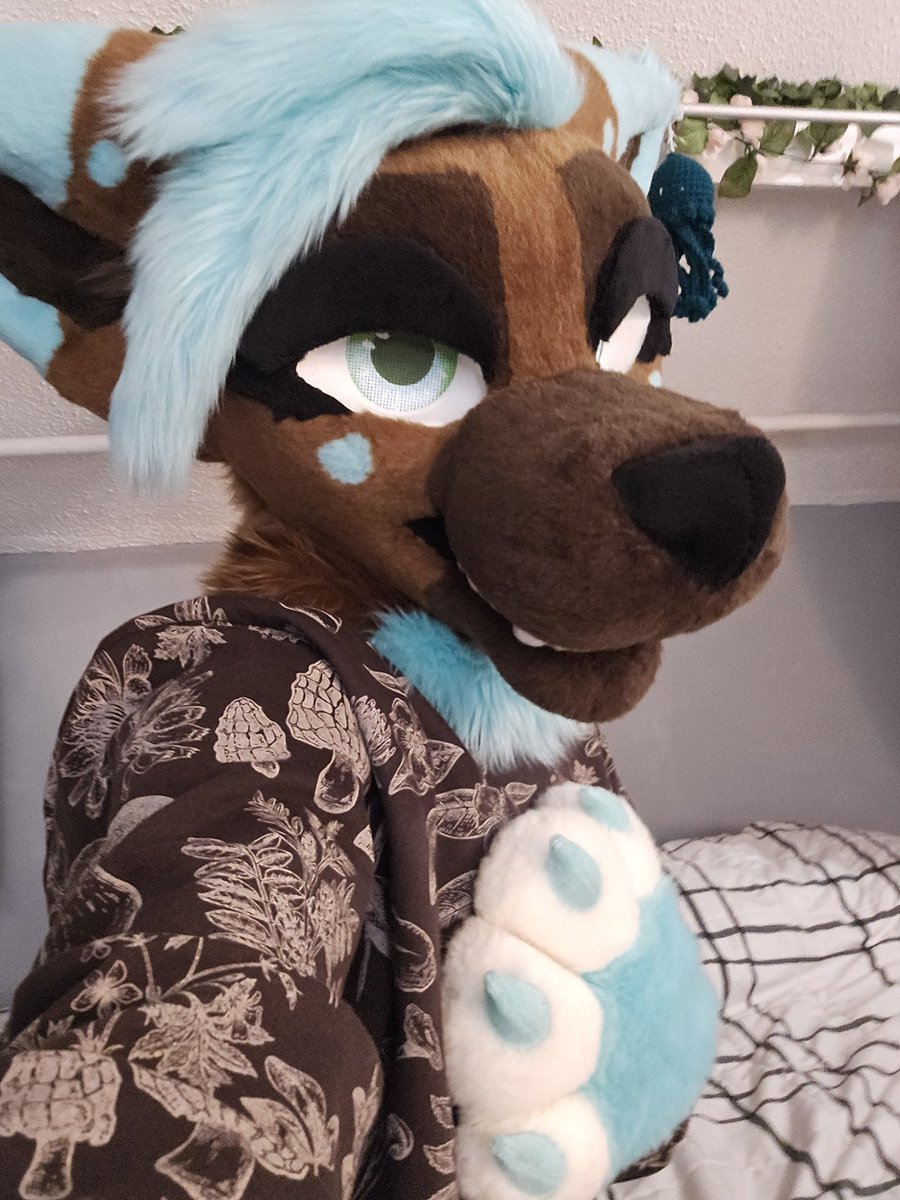 sakuraskreet's tweet photo. I think I found a 🤎New Color🤎 that  compliments my fur🐾

What color do you wear the most? https://t.co/LNGD8IyPzN