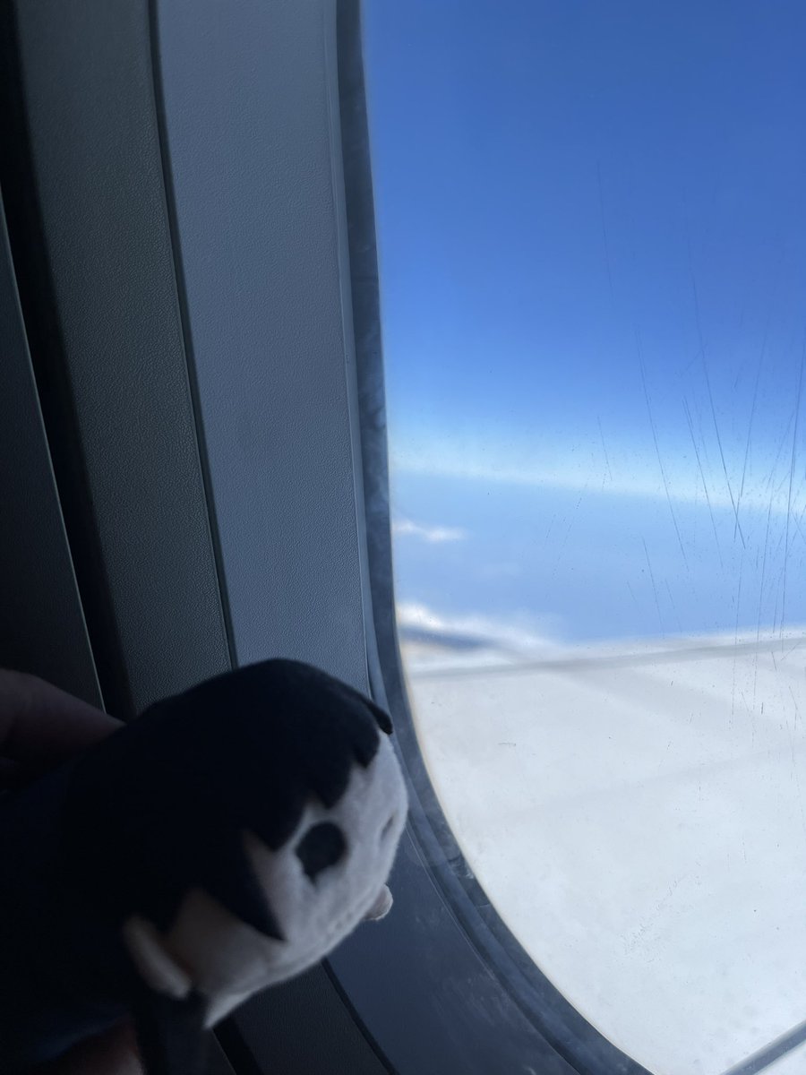 whooperilla's tweet image. Hello! 👋
My name is Shab. I love bringing my plushies anywhere and sometimes I share my art learning progress here
Even though I love animation, and comic, sometimes I retweet k-pop things too.
