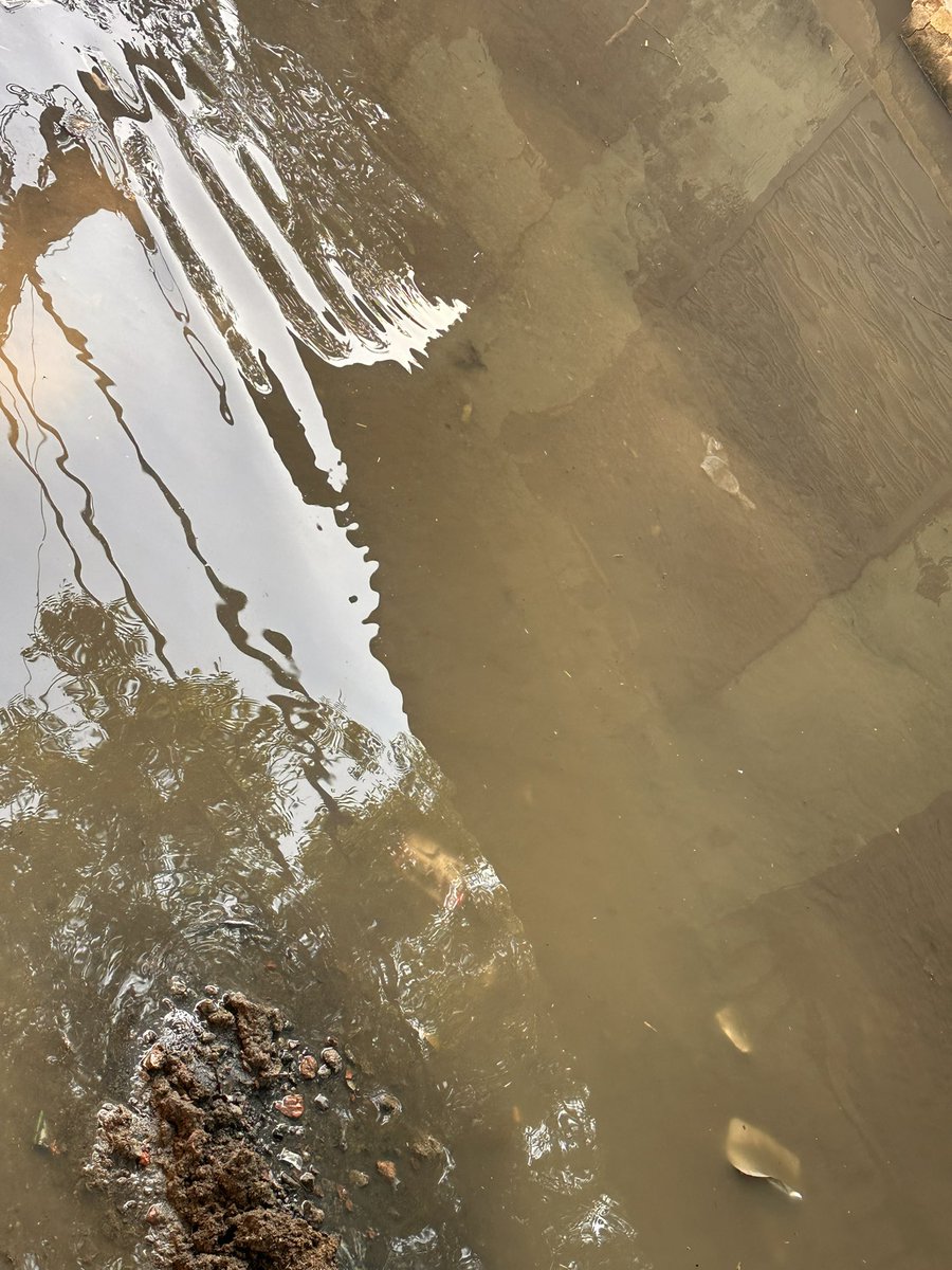 PRINCEBHAT64231's tweet image. @RoadAuthorityNP Urgent action needed for road construction in Sector 143, Noida near Ghari village. Better roads mean smoother commutes and improved safety. Let&apos;s prioritize infrastructure development for a better tomorrow! 🚧👷‍♂️ #NoidaDevelopment #RoadImprovement&quot;